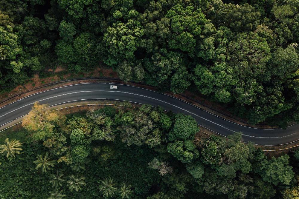Ilmakuva Fordin sähköautosta ajamassa mutkittelevalla metsätiellä.